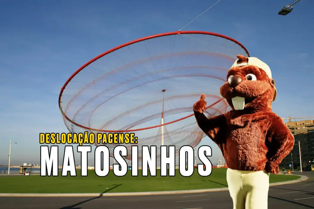 Castor junto à rede de pescador na rotunda de matosinhos